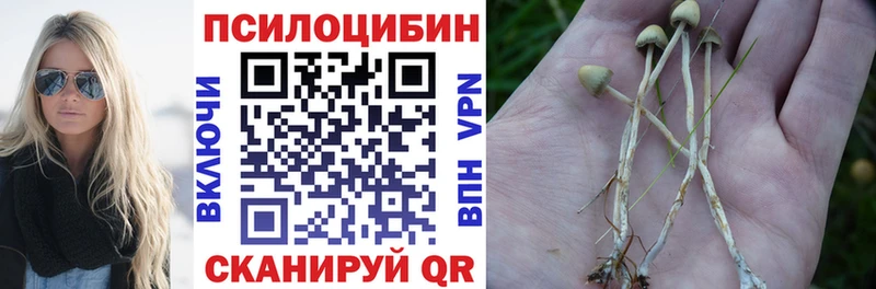 площадка как зайти  кракен зеркало  Куровское  Псилоцибиновые грибы Magic Shrooms 